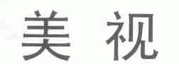 美视