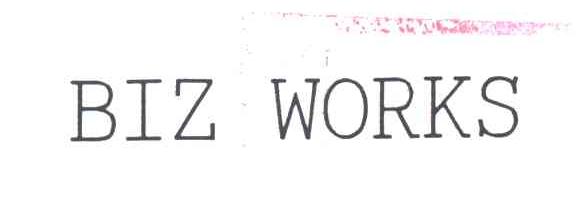 BIZ WORKS