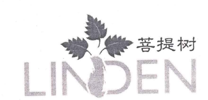 菩提树;LINDEN