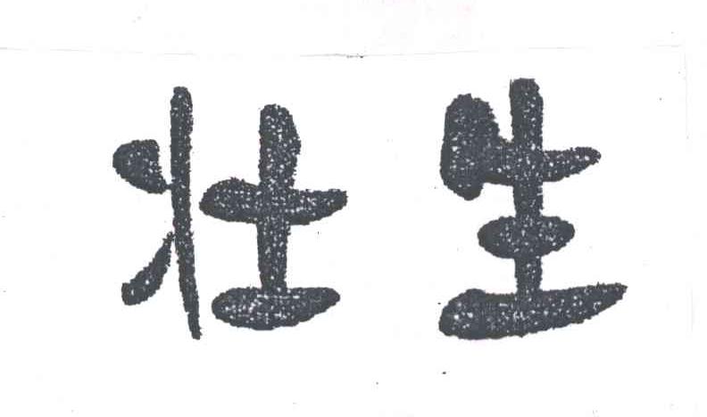 壮生