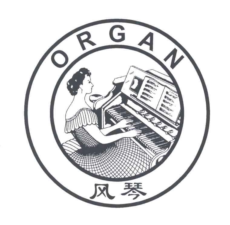 风琴;ORGAN