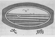 大鹏