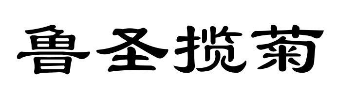 鲁圣揽菊