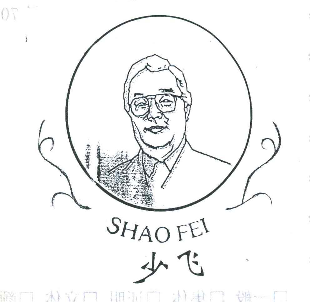 少飞