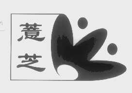 薏芝
