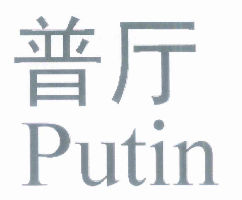 普厅 PUTIN