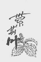 紫荆叶