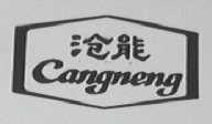 沧能