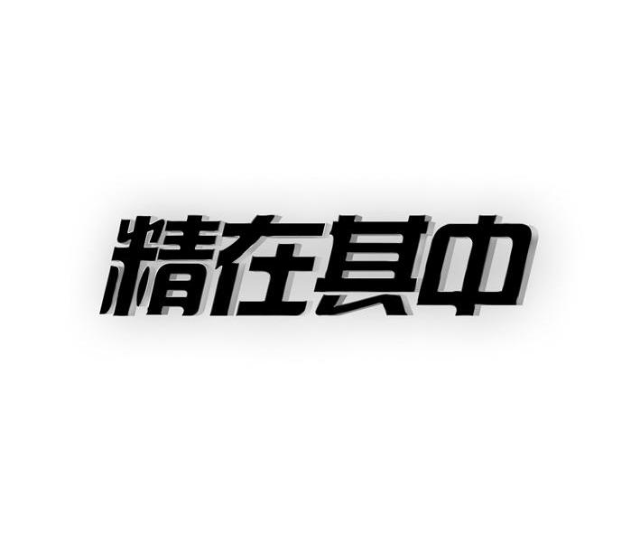 精在其中