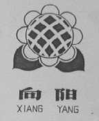 向阳