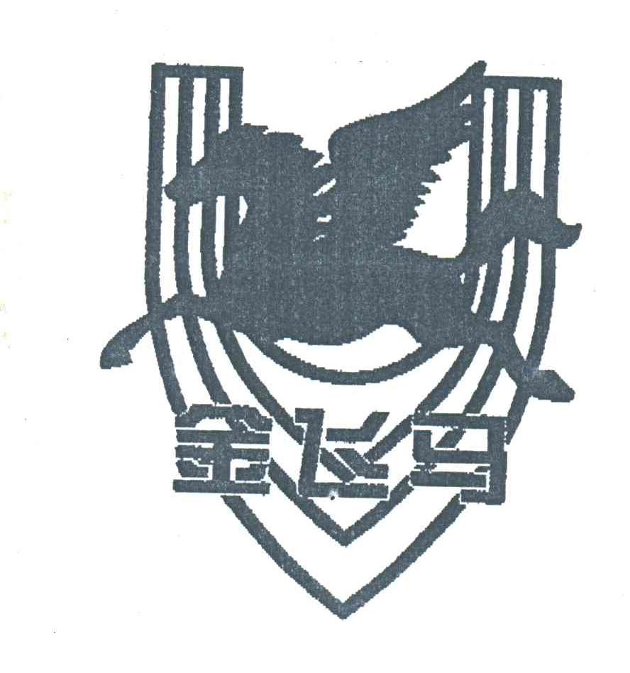 金飞马