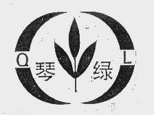 琴绿