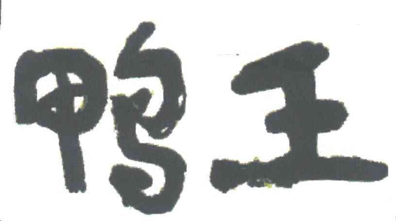 鸭王