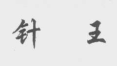 针王