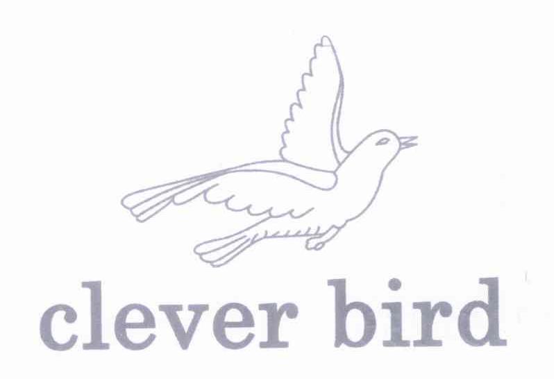 CLEVER BIRD