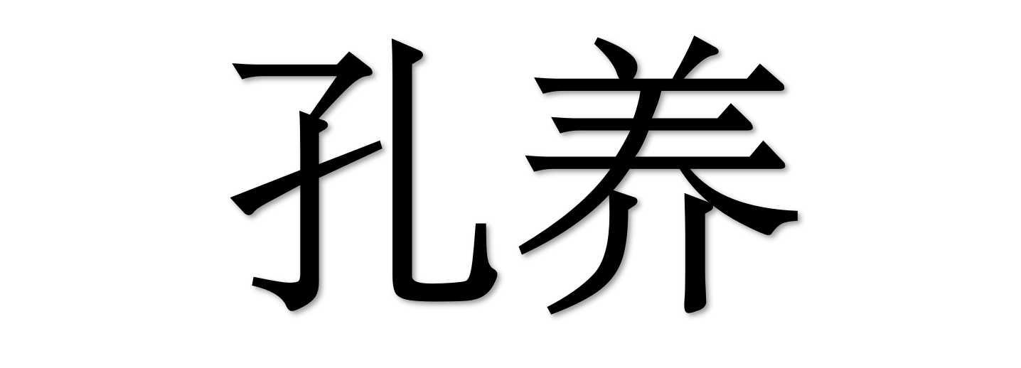孔养