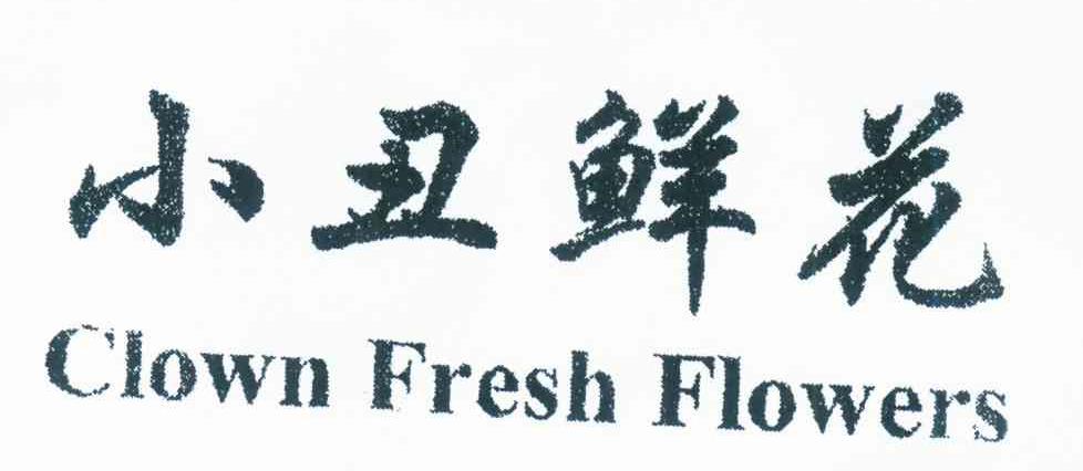 小丑鲜花 CLOWN FRESH FLOWERS