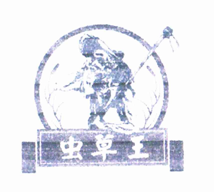 虫草王