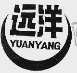 远洋
