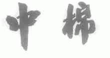 中棉