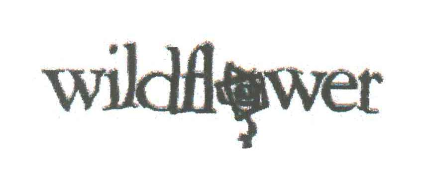 WILDFLOWER