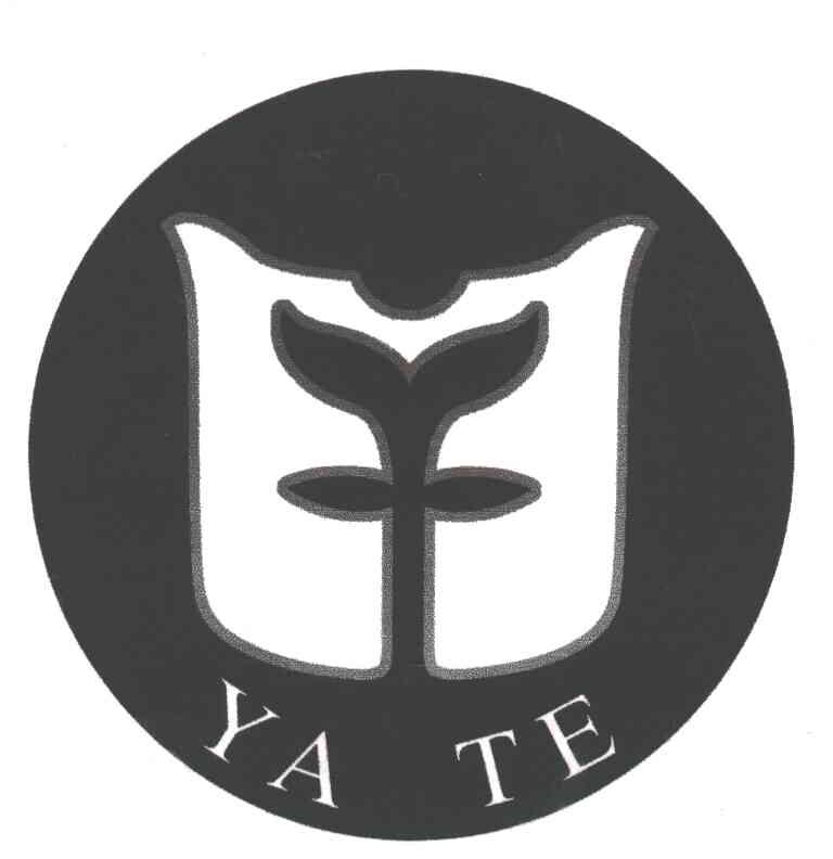 YA TE