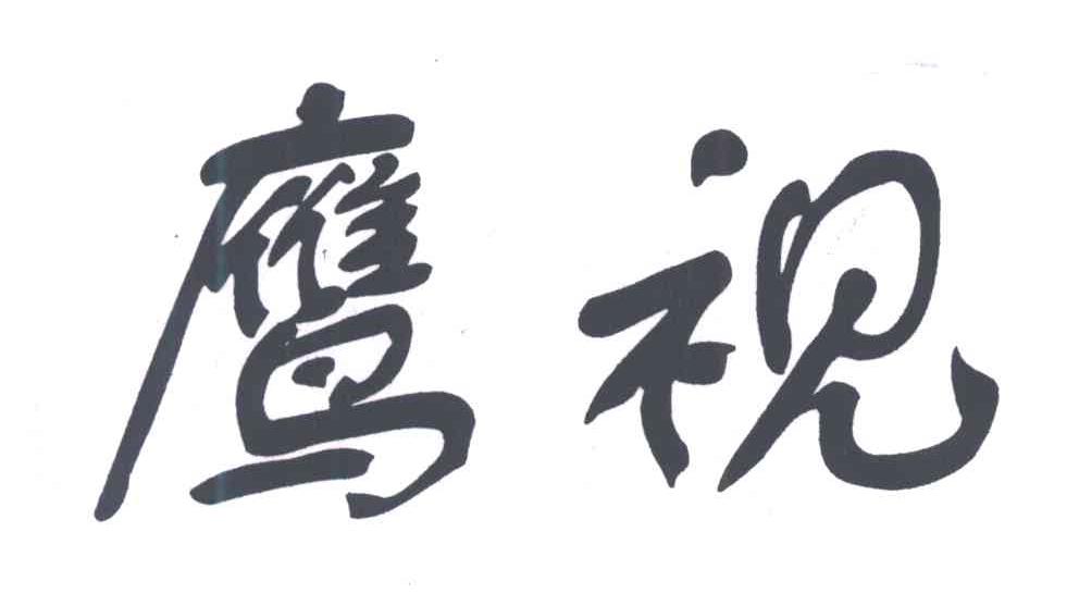 鹰视