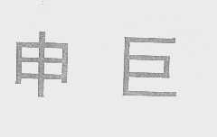 申巨