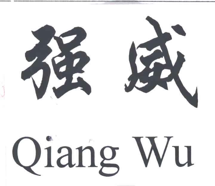 强威QIANG WU