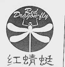 红蜻蜓  RED DRAGAN FLY