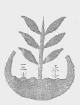 三禾