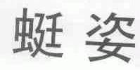 蜓姿