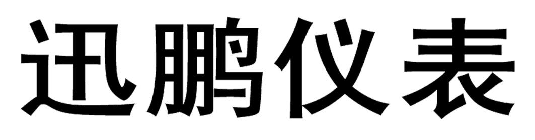 迅鹏仪表