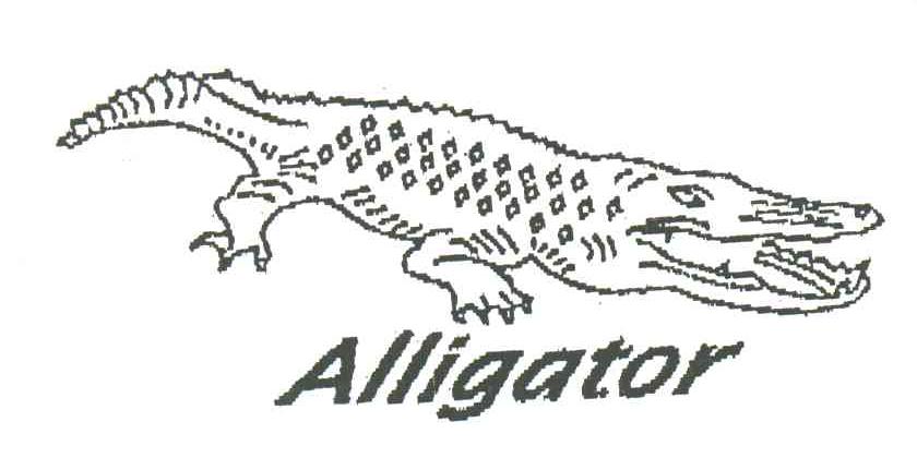 ALLIGATOR