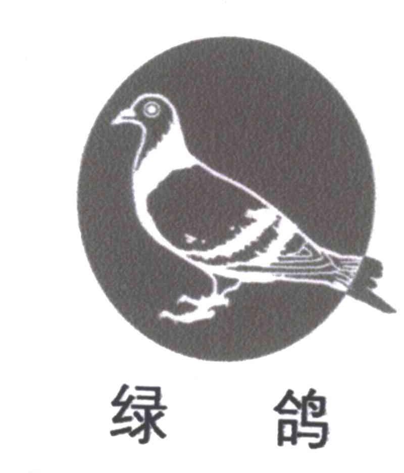 绿鸽