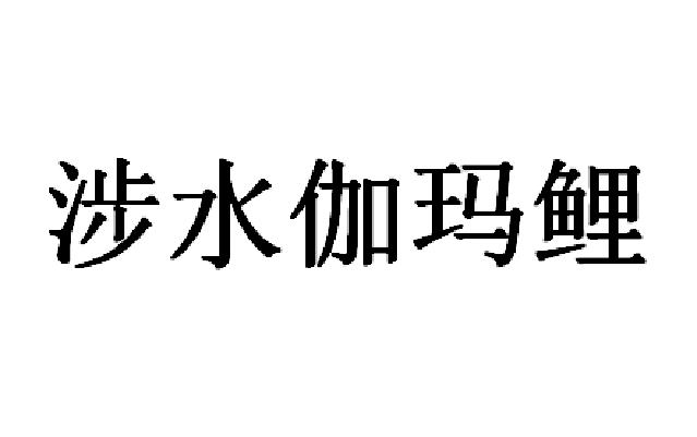 涉水伽玛鲤