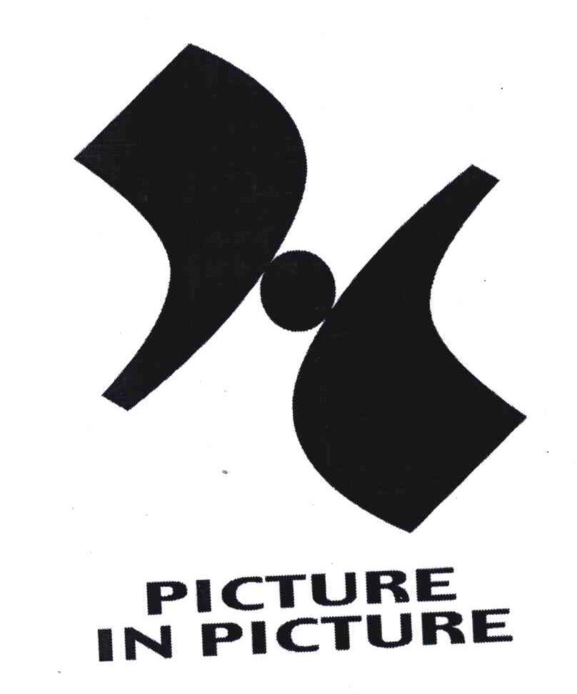 PICTURE IN PICTURE