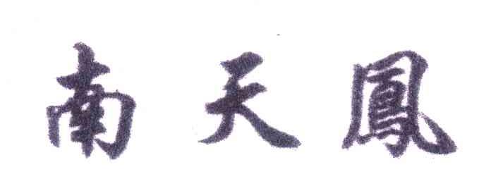 南天凤