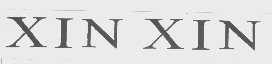 XIN XIN