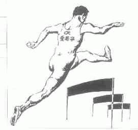 爱若华
