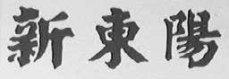 新东阳
