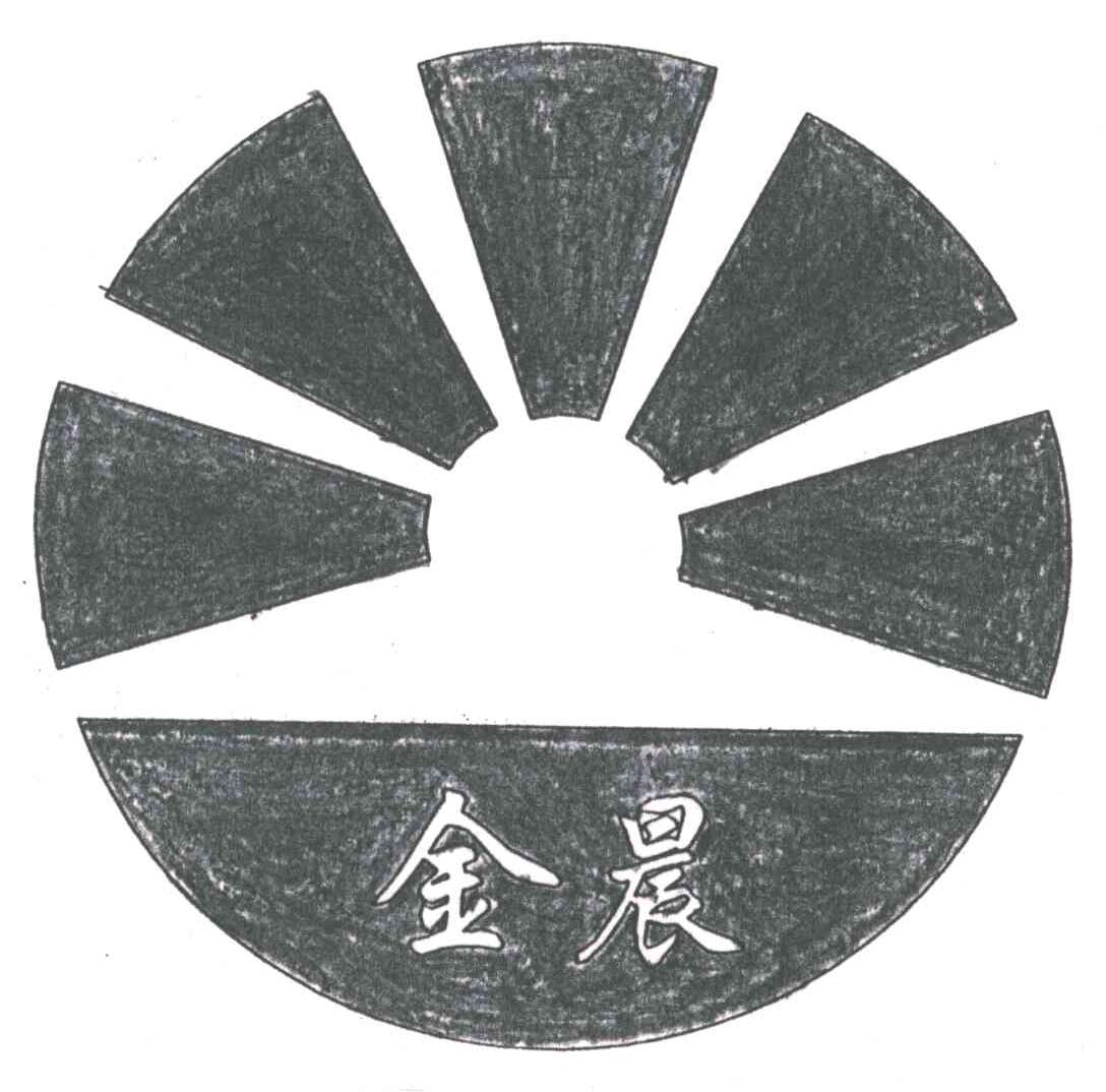 金晨