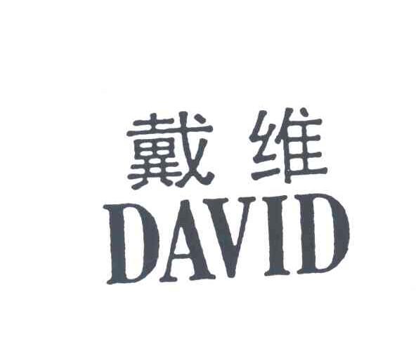 戴维DAVID