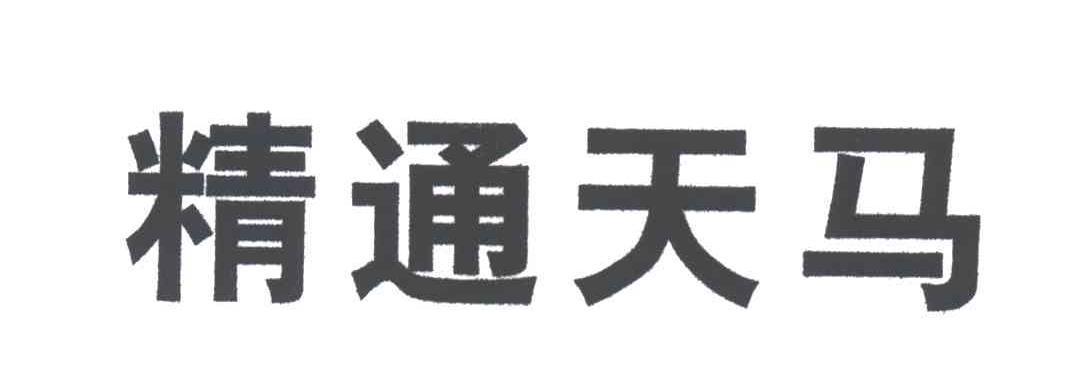 精通天马