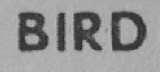 BIRD