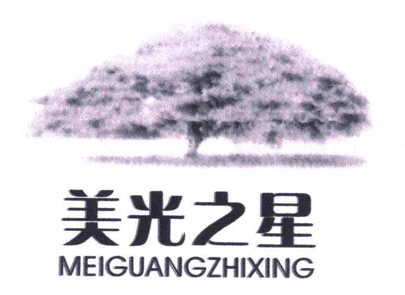 美光之星