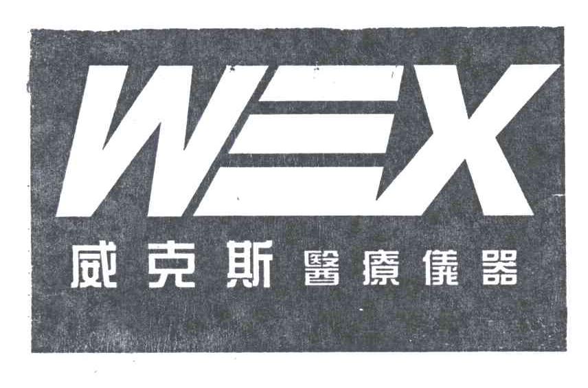 威克斯;WEX