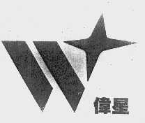 伟星