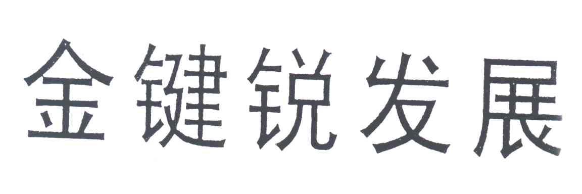 金键锐发展