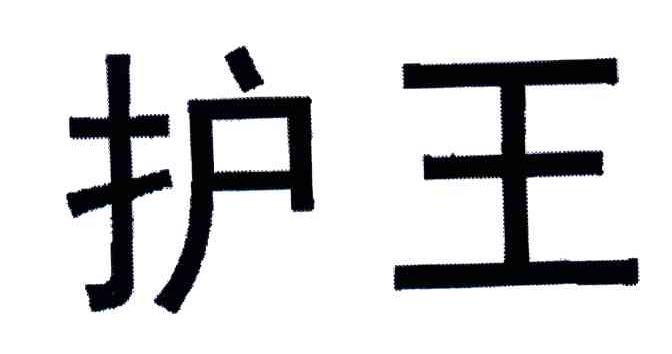 护王